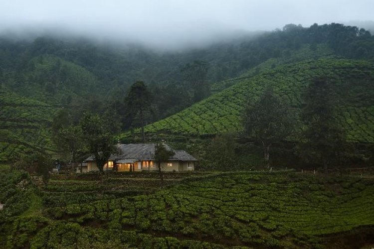 amã STAYS & TRAILS STEPS INTO MUNNAR WITH THE OPENING OF A COLLECTION OF SEVEN TEA ESTATE BUNGALOWS.