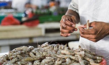 India exports 11,49,341 MT of seafood during 2020-21