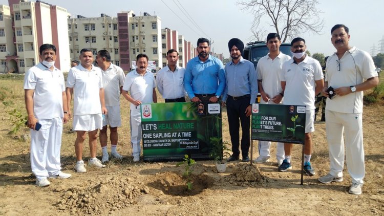 Canara HSBC Oriental Bank of Commerce Life Insurance initiates plantation drive .
