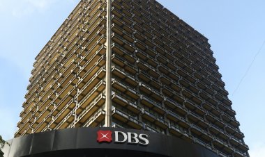 DBS India grows profitability despite impact from amalgamation of Lakshmi Vilas Bank.
